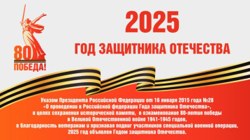 2025 год - год защитника Отечества 2025 год - год защитника Отечества.